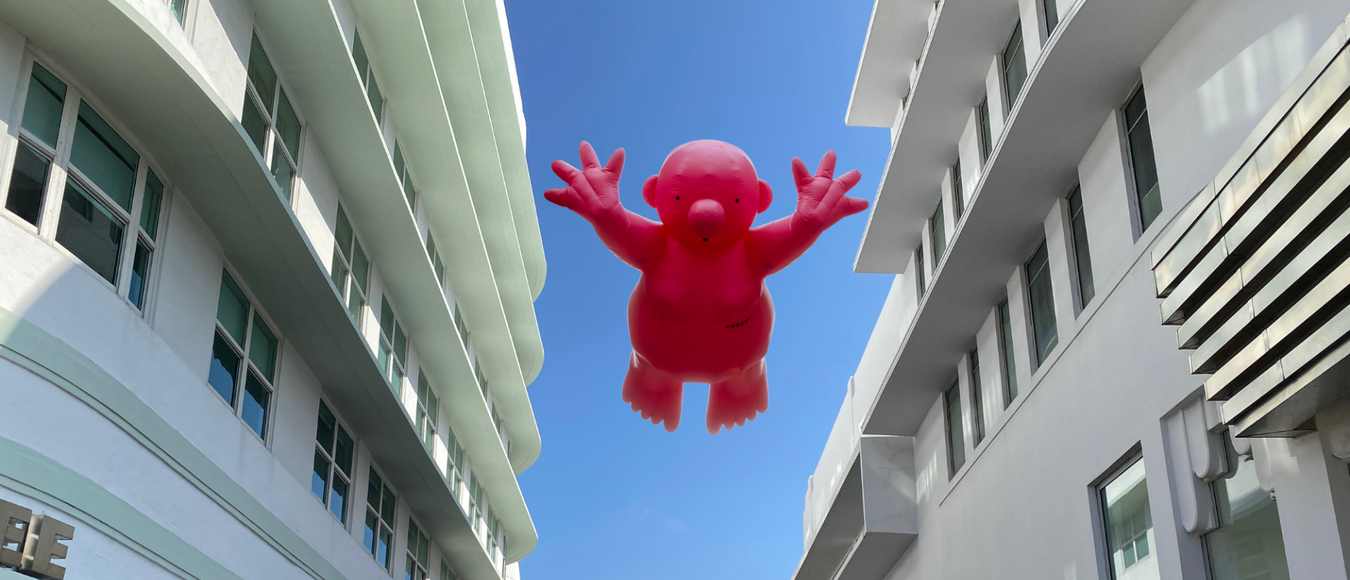 monsieur-rose-s'envole-philippe-katerine-jeunesse